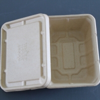 Paper Tray, Paper Insert, Paper Packaging