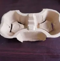 Pulp tray 2 cup carrier