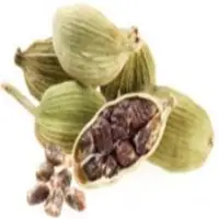 Cardamom