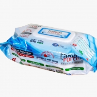 Pack Type Wet Wipe