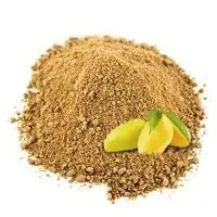 Mango Powder