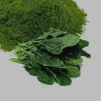 Spinach Powder