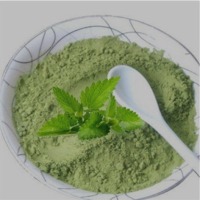 Mint Powder