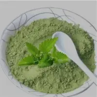 Mint Powder