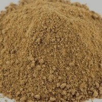 Amchur Powder