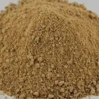 Amchur Powder