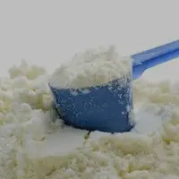 Curd Powder