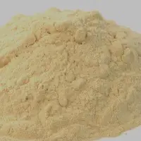Soya Sauce Powder