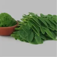 Moringa Powder