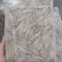 Frozen River Anchovy Fish