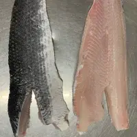 Snakehead Fillet