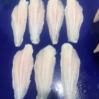 Basa Fillet