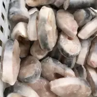 Pangasius Fish Steaks