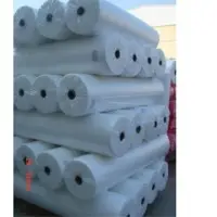 Non Woven Fabric Rolls