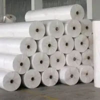 15 GSM Hydrophilic Spun Bond Non Woven Fabrics