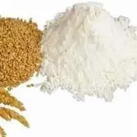 Whole wheat flour