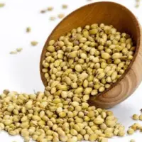Coriander Seeds