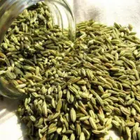 Fennel Seeds