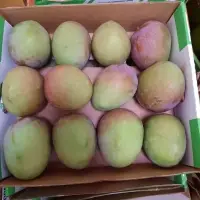 Kent Mangoes
