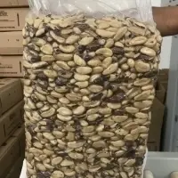 Brazil Nuts
