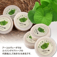 Le Scion Facial Bar
