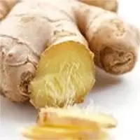 Ginger