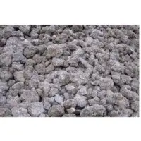 Gum Copal WS