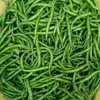 Green Chilli