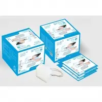 N95 Mask