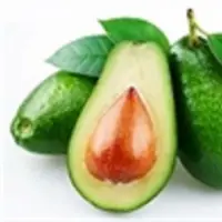Fresh Avocado