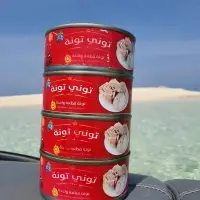 Canned Tuna Fish