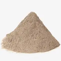 Fly Ash