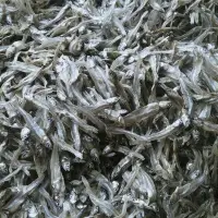 Dried Baby Shrimp