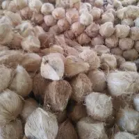 Best Dried Coconuts