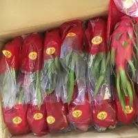 Dragon Fruit