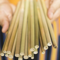 Bamboo Straws