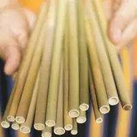 Bamboo Straws