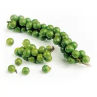 Organic Green Pepper