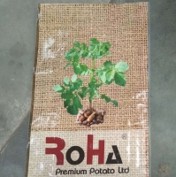 Bopp Laminated Pp Woven Sacks Bags