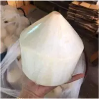 Thai Young Fresh Coconut