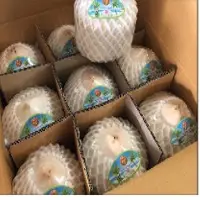 Fresh Coconut