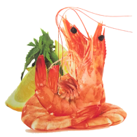 Shrimps And Prawns HOSO