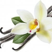 Vanilla Beans & Extract