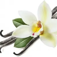 Vanilla Beans & Extract