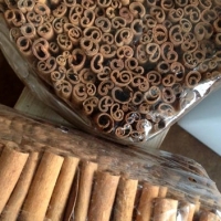Cinnamon Cassia / Cassie