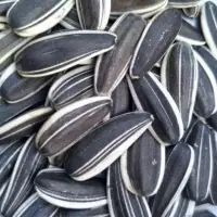 Sunflower Seeds