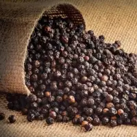 Black Pepper