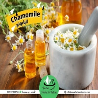 Chamomile