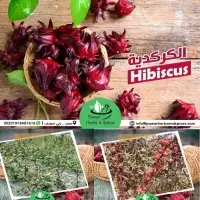Hibiscus