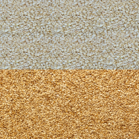 Sesame